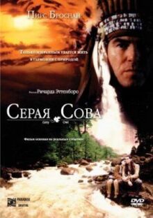 Серая сова онлайн бесплатно