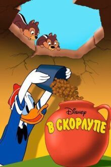 В скорлупе онлайн бесплатно