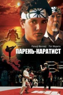 Парень-каратист онлайн бесплатно
