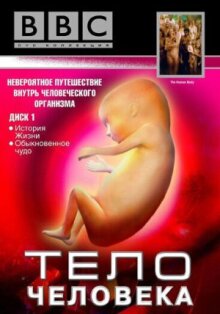 BBC: Тело человека онлайн бесплатно