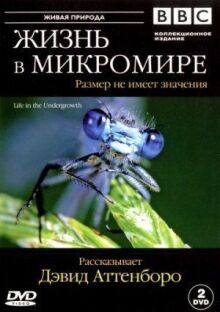 BBC: Жизнь в микромире онлайн бесплатно