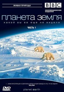 Планета Земля 2 онлайн бесплатно