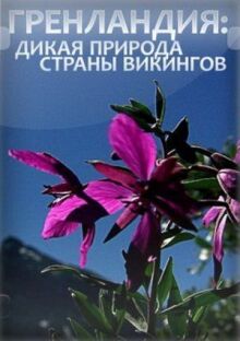 Гренландия: Дикая природа страны викингов онлайн бесплатно
