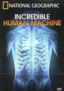 Невероятное тело человека онлайн бесплатно