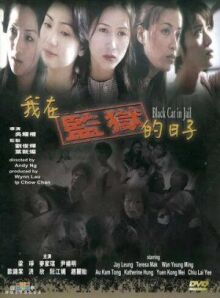 Чёрная кошка 3: В тюрьме онлайн бесплатно