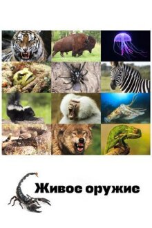 Живое оружие онлайн бесплатно