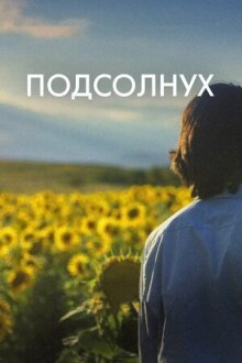 Подсолнух онлайн бесплатно
