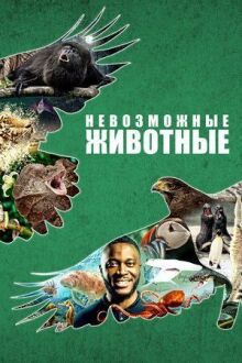 Невозможные животные онлайн бесплатно