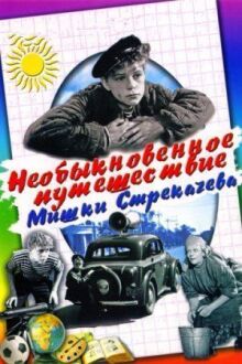 Необыкновенное путешествие Мишки Стрекачева онлайн бесплатно