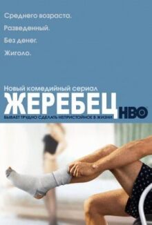 Жеребец онлайн бесплатно