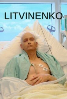 Литвиненко онлайн бесплатно