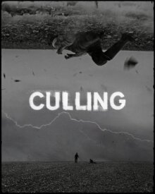 Culling онлайн бесплатно