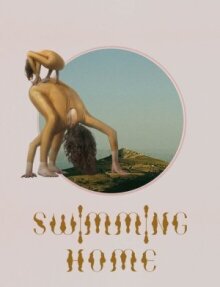 Заплыв домой онлайн бесплатно