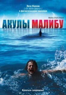 Акулы Малибу онлайн бесплатно