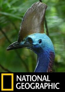 Птица-динозавр онлайн бесплатно