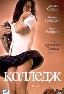 Колледж онлайн бесплатно