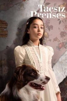 Принцесса без короны онлайн бесплатно