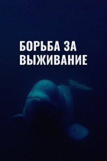 Борьба за выживание онлайн бесплатно