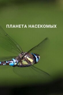 Планета насекомых онлайн бесплатно
