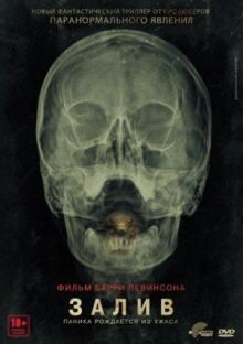 Залив онлайн бесплатно