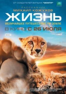 Жизнь онлайн бесплатно