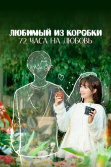 Любимый из коробки: 72 часа на любовь онлайн бесплатно