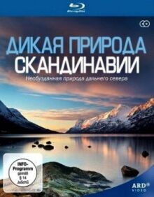 Дикая природа Скандинавии онлайн бесплатно