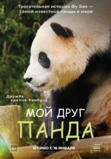 Мой друг панда онлайн бесплатно