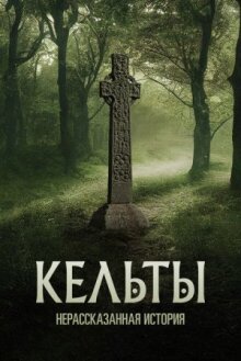 Кельты: Нерассказанная история онлайн бесплатно