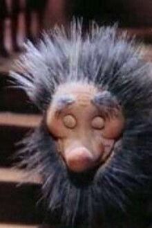 Последние волшебники онлайн бесплатно