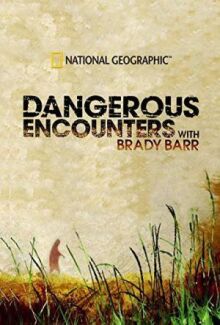 National Geographic. Опасные встречи онлайн бесплатно