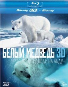 Полярные медведи онлайн бесплатно