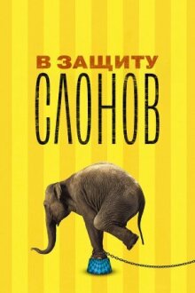 В защиту слонов онлайн бесплатно