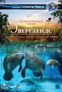 Эверглейдс 3D: Ламантины Кристальной реки онлайн бесплатно