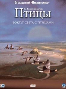 Птицы онлайн бесплатно