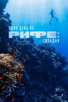 Один день на рифе: Сипадан онлайн бесплатно