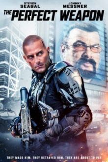 Совершенное оружие онлайн бесплатно